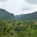 View album