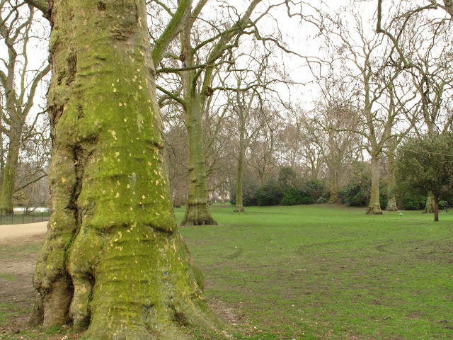 Enjoying a very green St. James's Park.