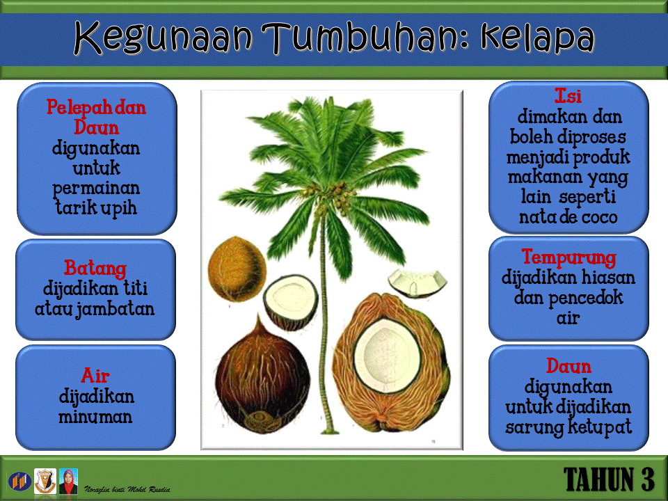 Dunia Sains dan Teknologi (Belajar dengan Ceria): DST 