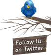 Burung Twitter di atas Ranting Pohon,twitter bird,twitter on the tree,tweet,follow us on twitter