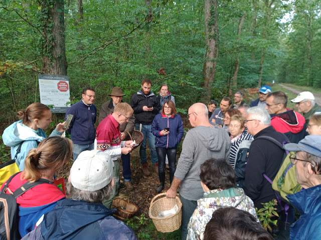 Expert mycologist teaching a group about mushrooms, Indre et Loire, France. Photo by Loire Valley Time Travel.