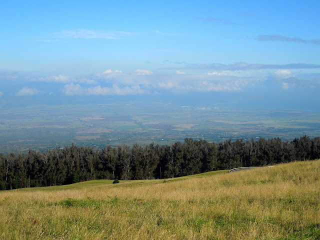 upcountry Maui