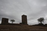 wm_IMG_7382