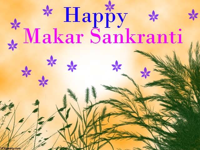 makar sankranti wallpapers 2018