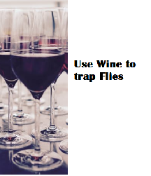 Use Wine to trap Flies
