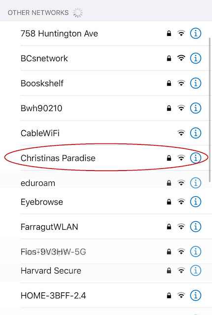 Network Name: Christmas Paradise