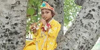 krishna janmashtami