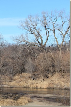 IMG_6303 IMG_6303