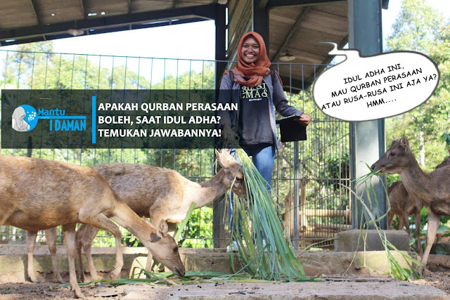 KANDANG QURBAN