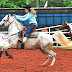 Curiosidades sobre cavalos!! 