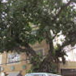 View album