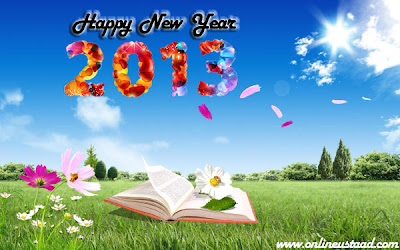 new year 2013 greeting