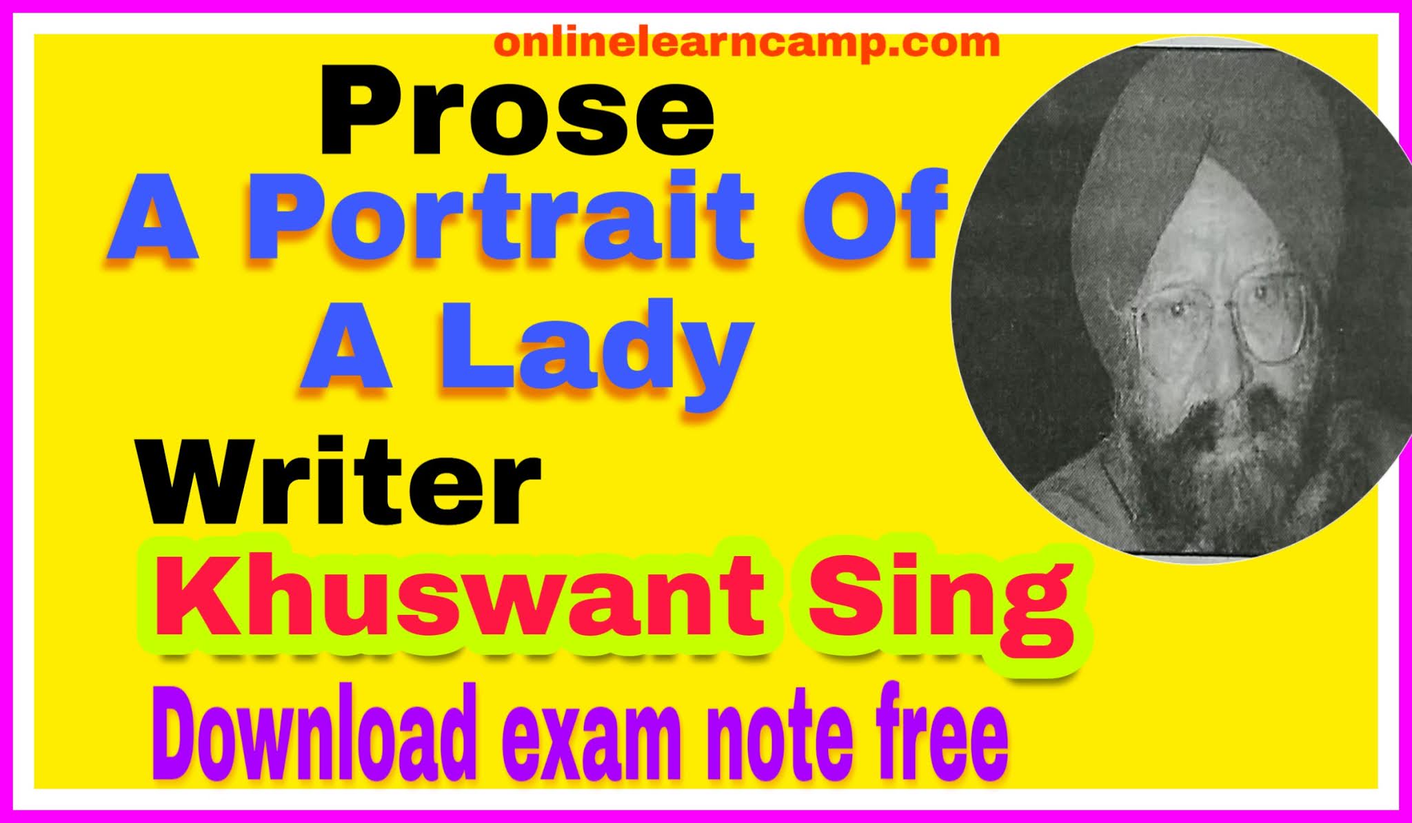 Exam note on english the portrait of a lady by Khushwant Singh