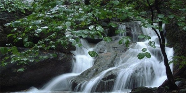 clip_image001