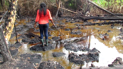 Niger Delta Oil Spills