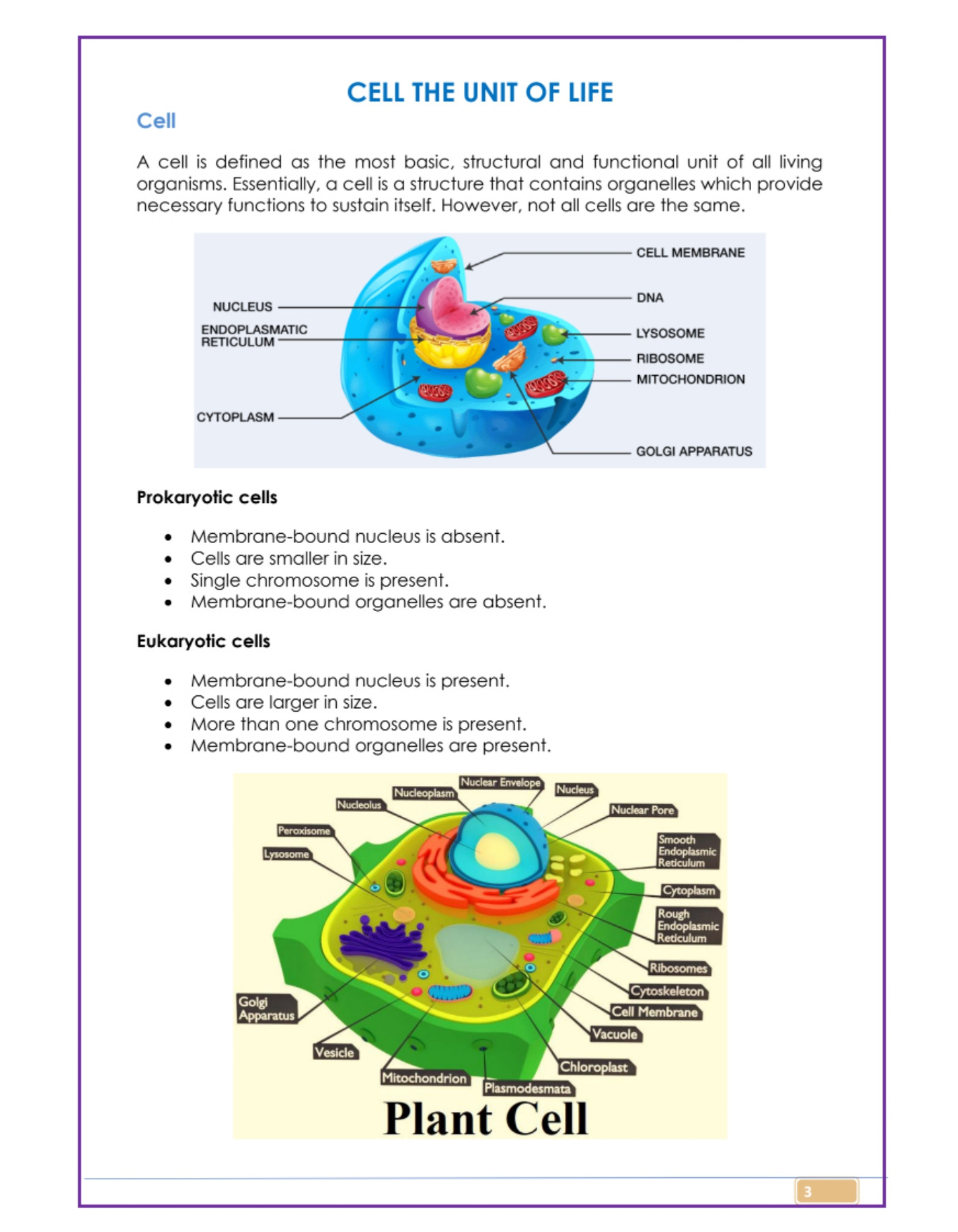 ChemContent's NEET Colorful Modules - Biology Theory 