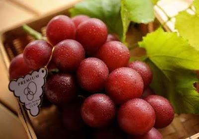 buah anggur ruby roman