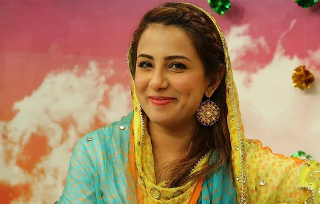 Beautiful Ushna Shah HD Wallpaper