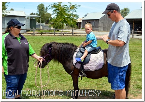 Shepparton: Emerald Bank Adventure Park ~ How Many More Minutes?