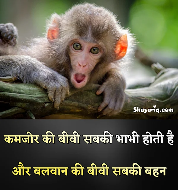 Hindi shayari, hindi photo Quotes, hindi status