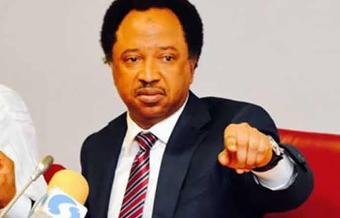 Protest In Niger State Is A Message To Tinubu’s Government – Shehu Sani Reveals