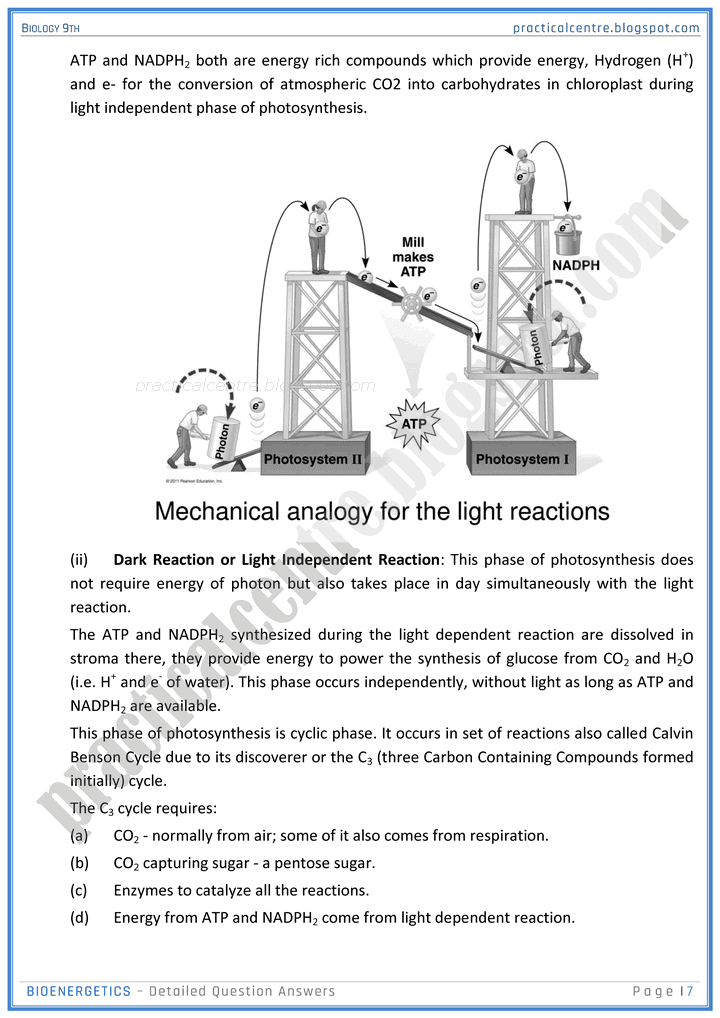 bioenergetics-detailed-question-answers-biology-9th-notes