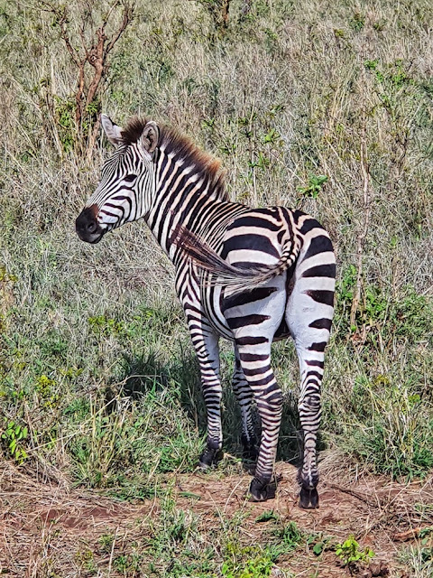 Tarangire National Park