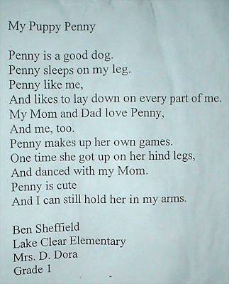 Ben produced some lovely poems at school, which I am sharing with you.