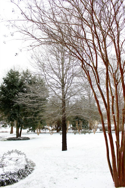 Snowy views from the front porch.