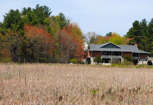 11c. Geremonty marsh-kab