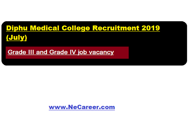 Diphu Medical College Recruitment 2019 (July) 