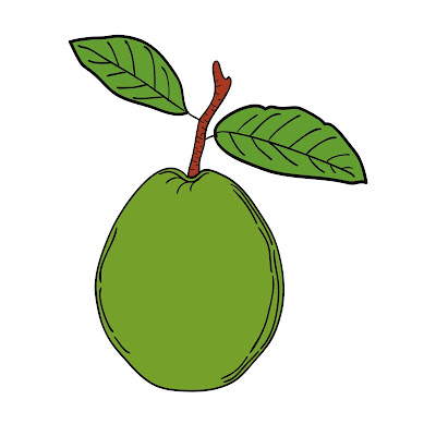 A Pencil Sketch and Free Cartoon Images of Guava