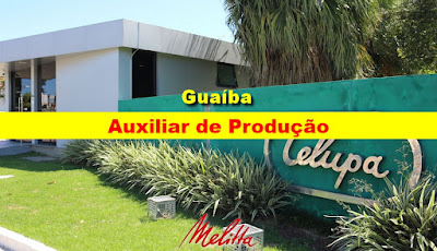 Empresa do Grupo Melitta abre vagas para Auxiliar de Produção em Guaíba