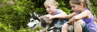 Landal Park mit Hund