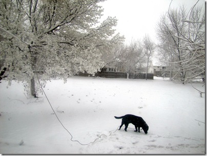 Rigg's03-26-11a