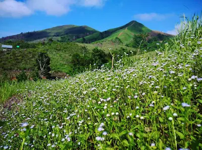 foto indahnya bukit kawai kawai kalimantan selatan