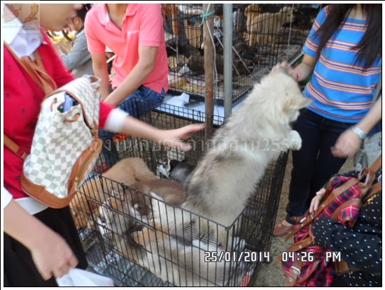 'งานเกษตรภาคอีสาน ขอนแก่น 2557