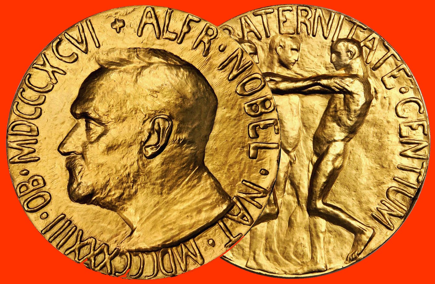 Novel Prize Medals