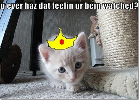 Funny Pictures: Little kitty is watching the prince