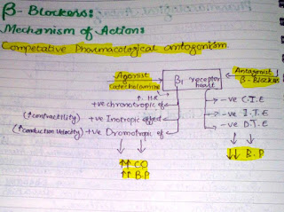 a diagram of beta blockers