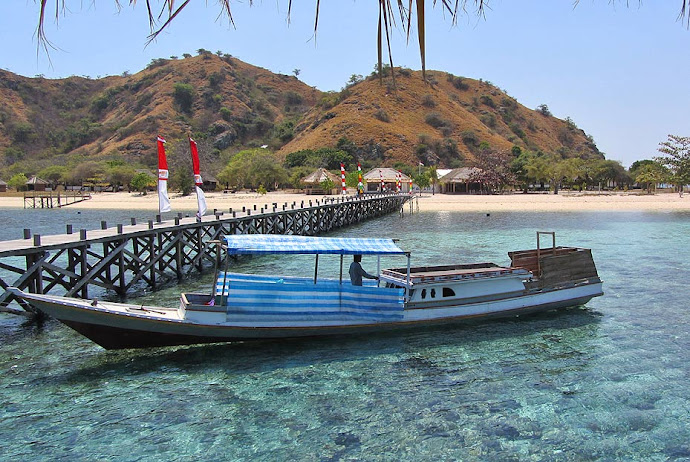 Muelle de madera