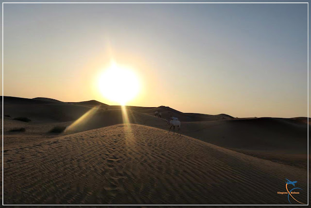 Safári no Deserto de Dubai