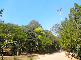 Bosque Maia em Guarulhos