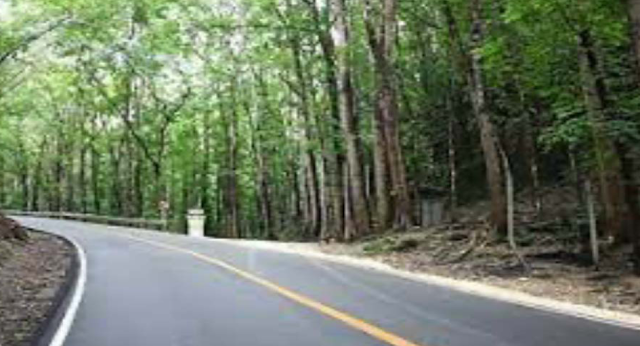 Which is laregest man made forest of Pakistan?