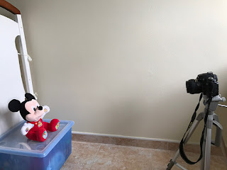 Fotos de carnet en casa - preparación