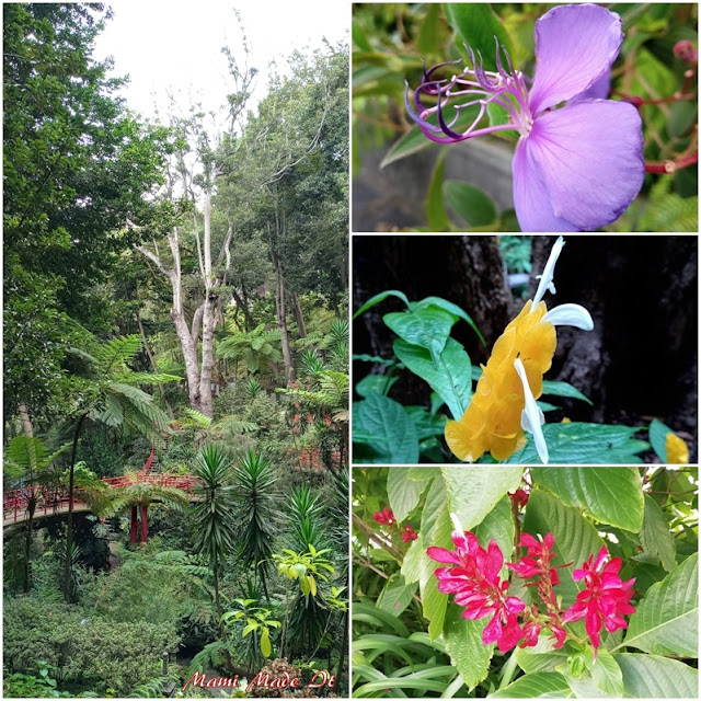 Monte Palace Tropical Garden, Funchal