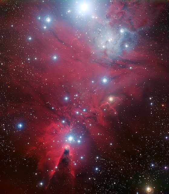 Изображение NGC 2264