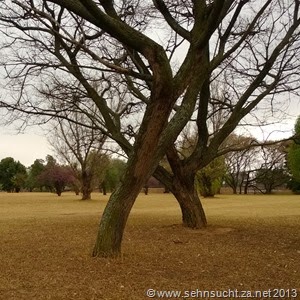 WP_20130922_026 (2)