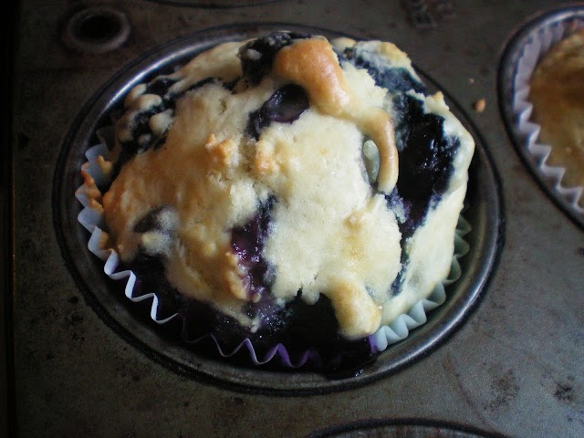Blueberry Tower Muffins
