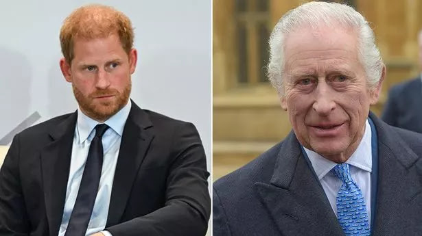 Prince Harry and King Charles Require 'More Time' for Reconciliation